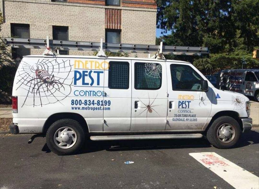 Commercial Pest Control for Insects, Rodents, and Wildlife
